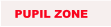 PUPIL ZONE