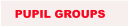 PUPIL GROUPS