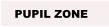 PUPIL ZONE