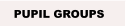 PUPIL GROUPS